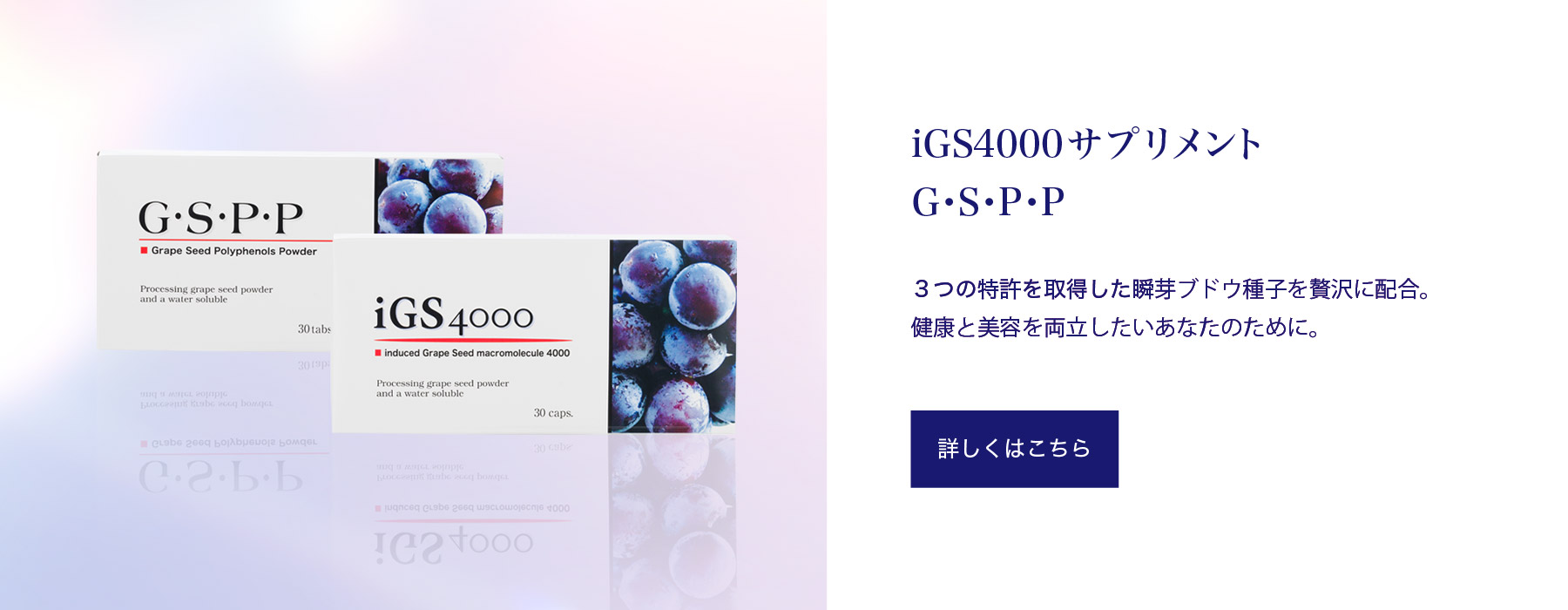 iGS4000サプリメント、G・S・P・P
