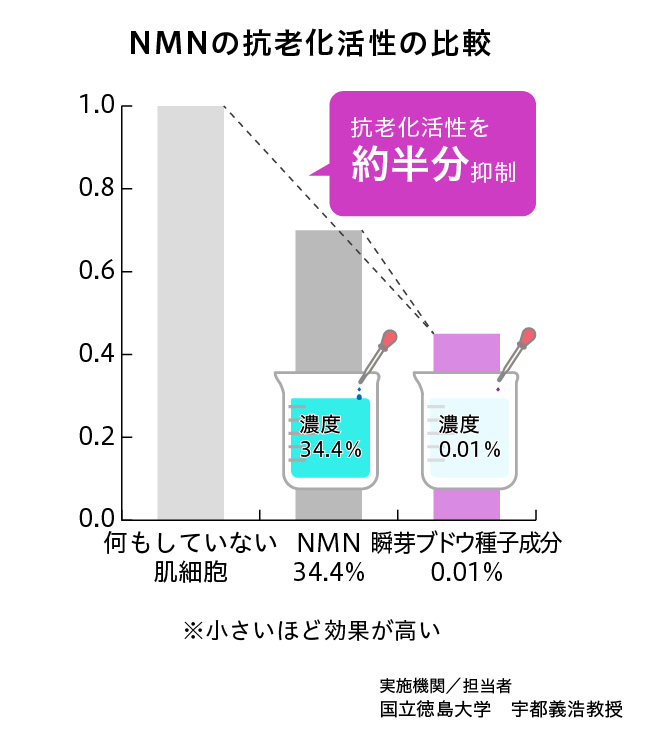 NMNの抗老化活性の比較